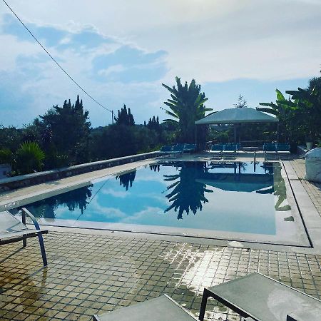 Villino Cortebozzini Daire Bardolino Dış mekan fotoğraf